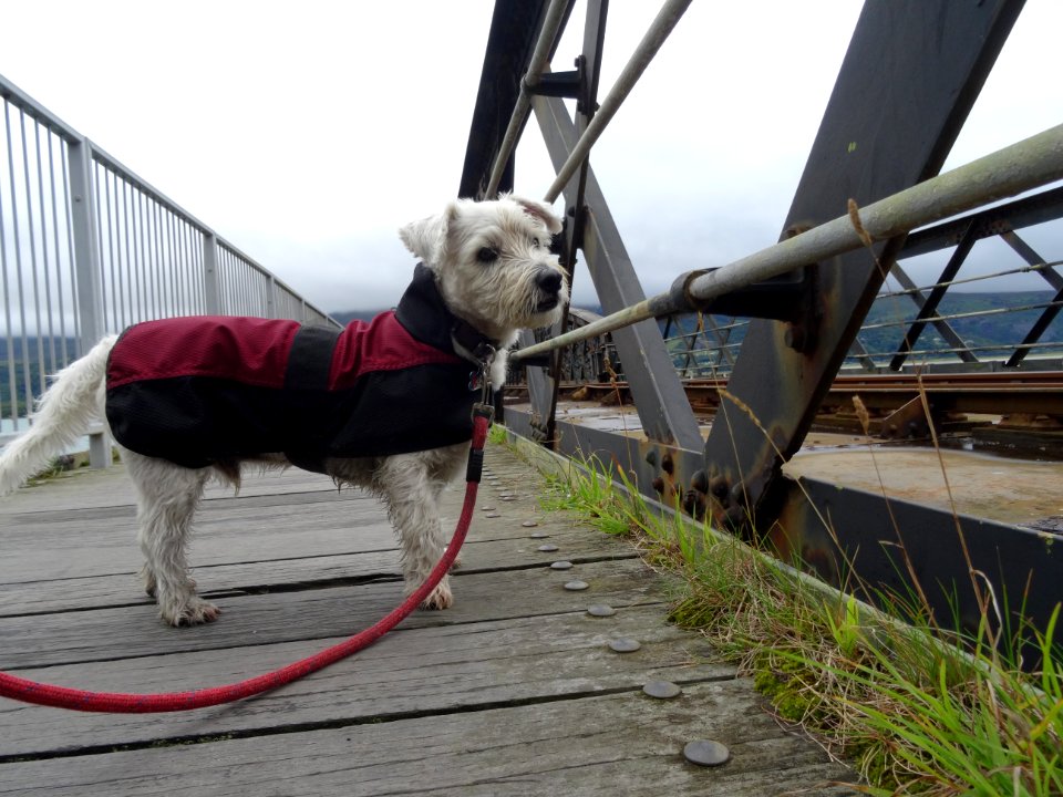 BARMOUTH SWING BRIDGE