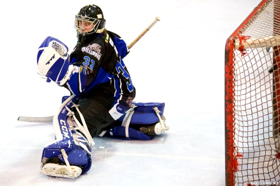 Ice Hockey - Bracknell Bees Vs Sheffield Steeldogs