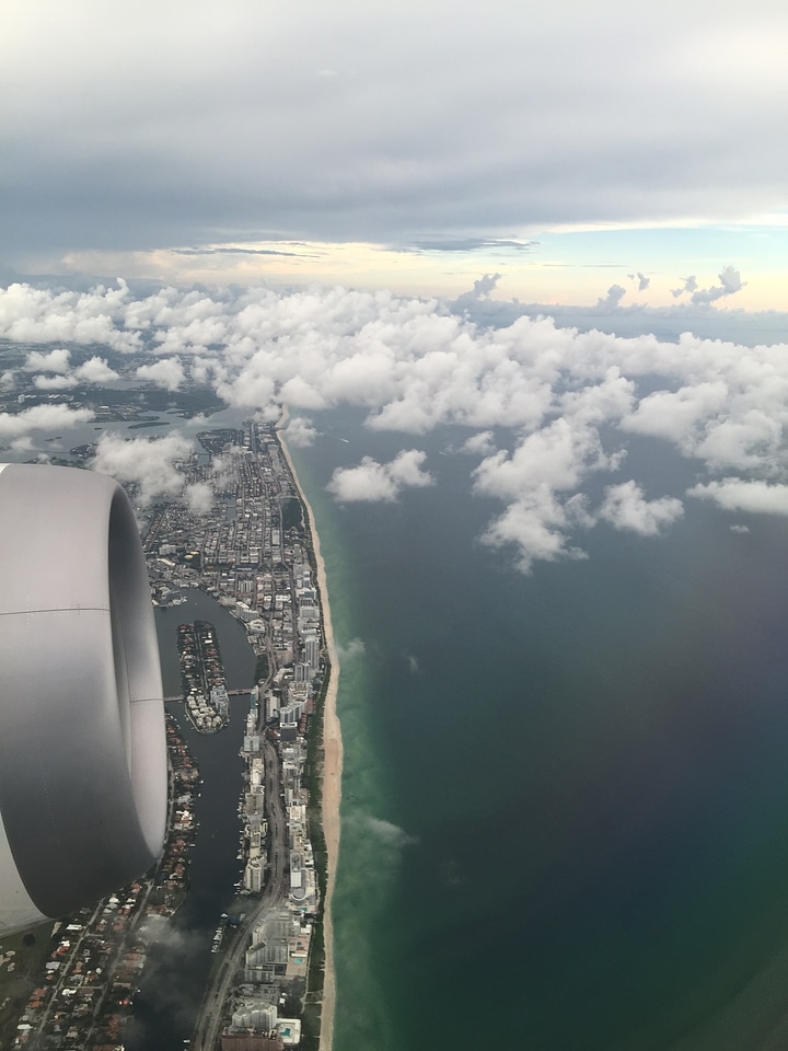Aerial flying fly