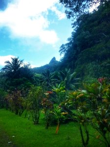 IMG 20171125 185605