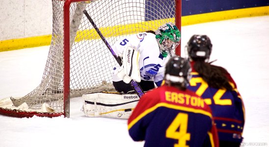 Ice Hockey - Guildford Lightning At Sheffield Shadows