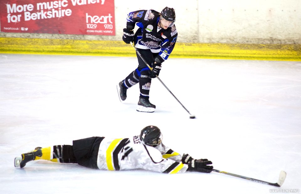 Ice Hockey - Bracknell Bees Vs Sheffield Steeldogs