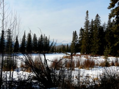 Banff Vermillion Lakes photo