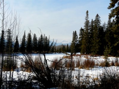 Banff Vermillion Lakes