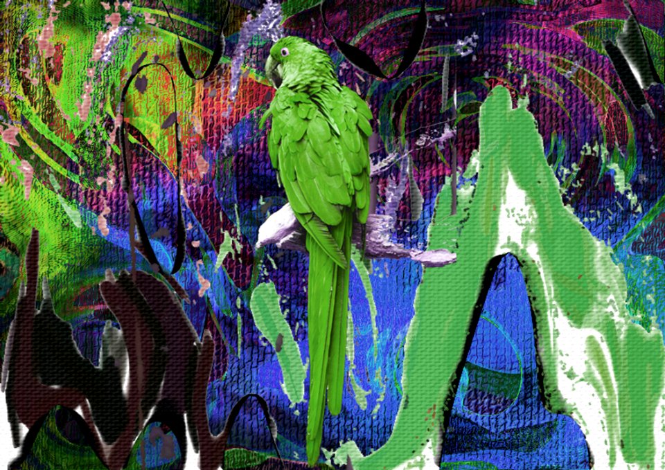 Untitled