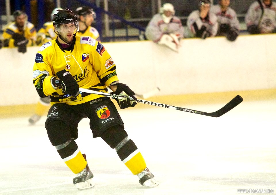 Basingstoke Bison Vs Bracknell Bees