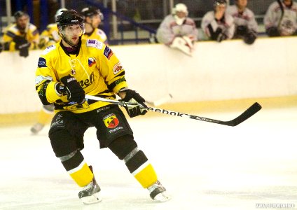 Basingstoke Bison Vs Bracknell Bees