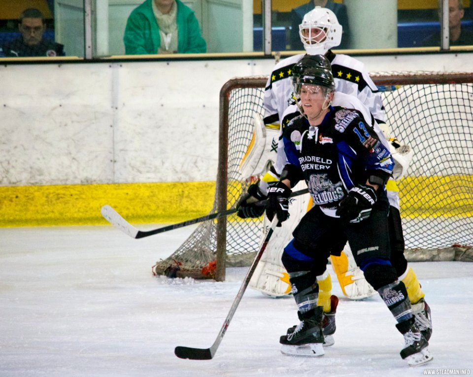 Ice Hockey - Bracknell Bees Vs Sheffield Steeldogs