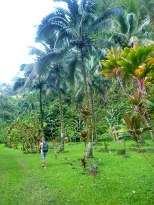 IMG 20171125 080411