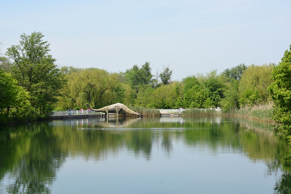 Nature landscape lake