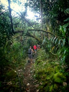 IMG 20171125 184906