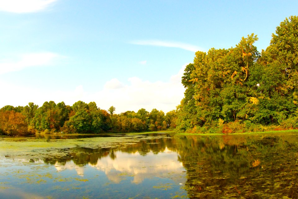 Gunners Lake  Maryland