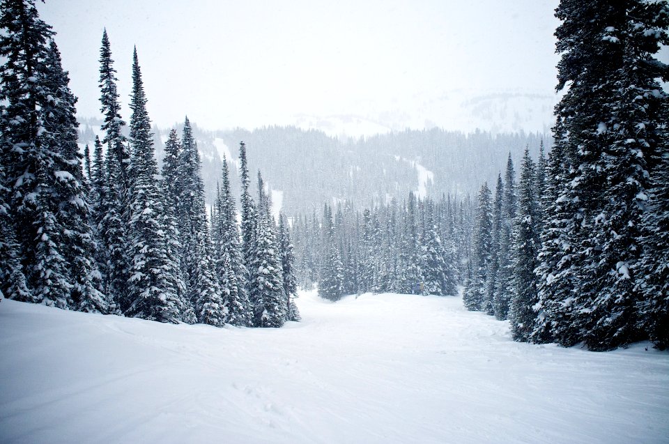 Sunshine Village photo