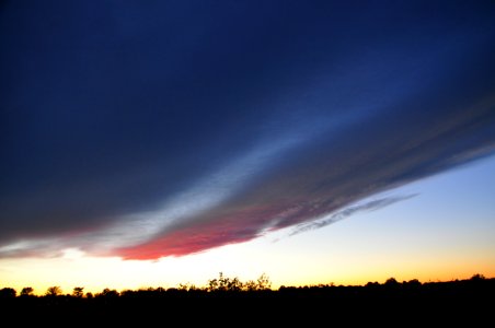 DSC 0510