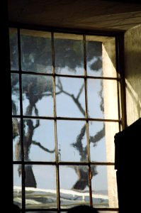 through the looking glass