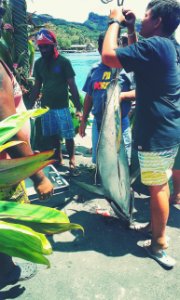 IMG 20171030 075818