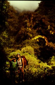 forest near Ghora Tabela