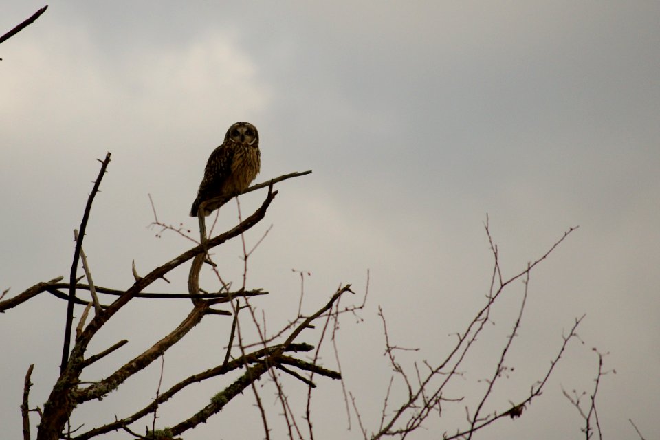 Surveying the Estuary photo