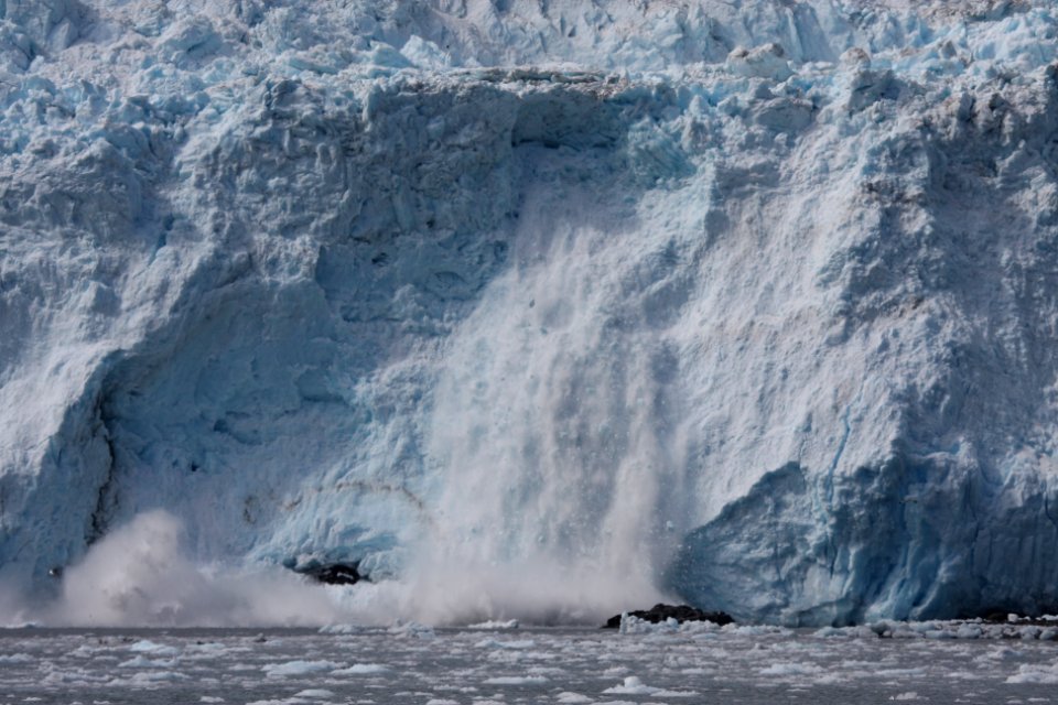 Holgate Glacier calving