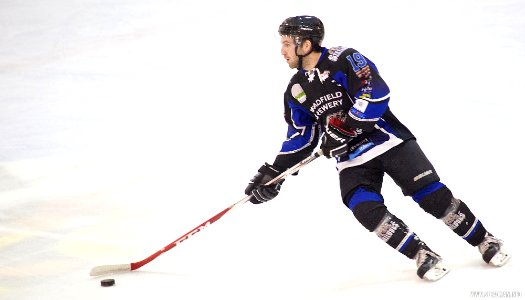 Ice Hockey - Bracknell Bees Vs Sheffield Steeldogs