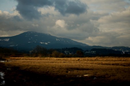 Mount Benson and Estuary