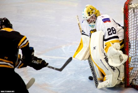 Ice Hockey - Bracknell Bees Vs Chelmsford Chieftains