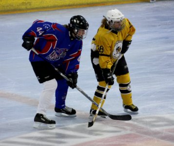 Bracknell Firebees Vs Invicta