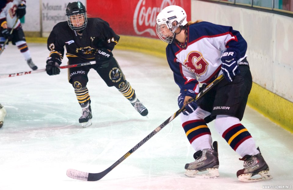 Ice Hockey - Guildford Lightning Vs Bracknell Queen Bees