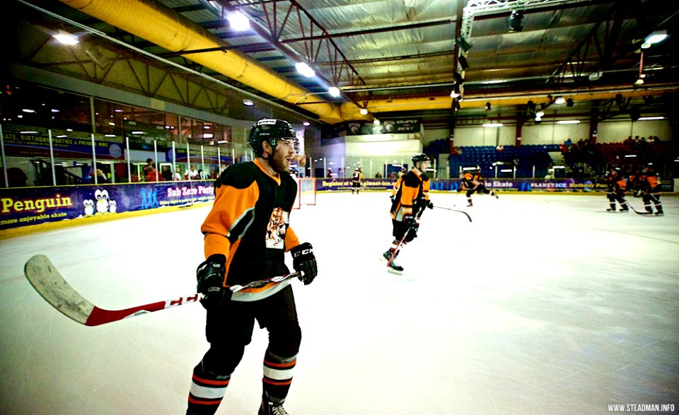 Ice Hockey - Basingstoke Bison Vs Telford Tigers