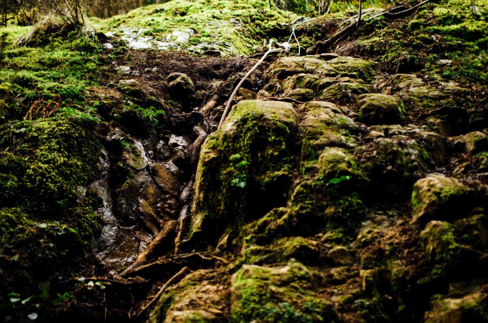 Rope to Roberts Roost