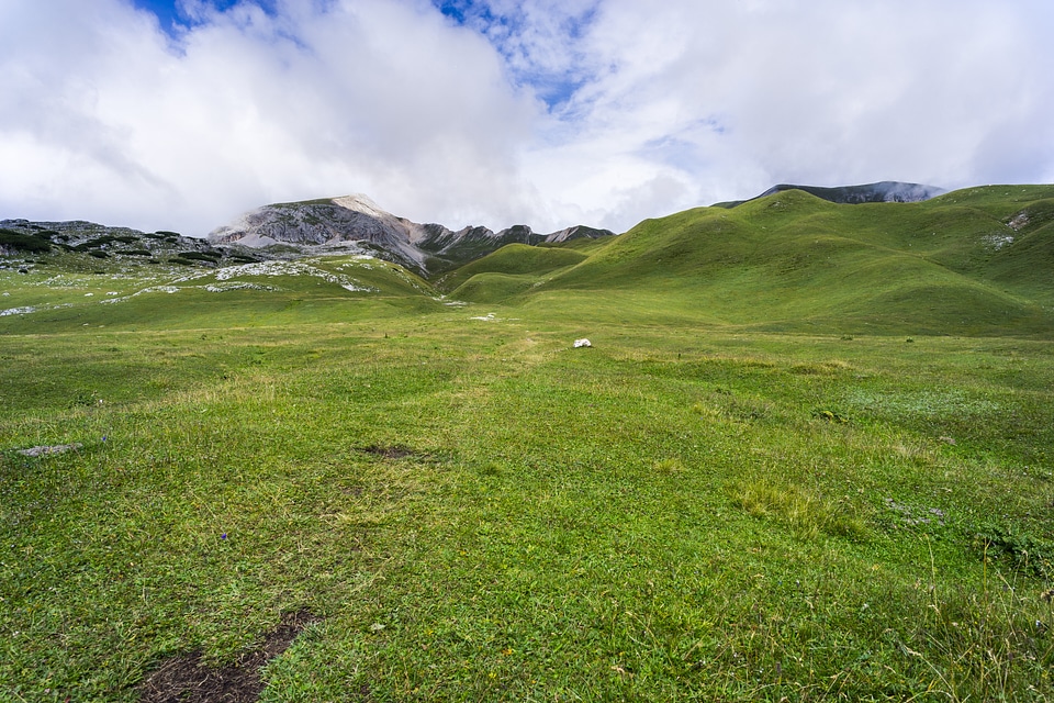 Landscape nature green photo