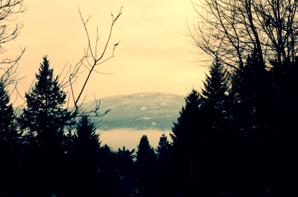 Mount Benson from Diver Lake