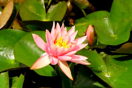 DSC01625