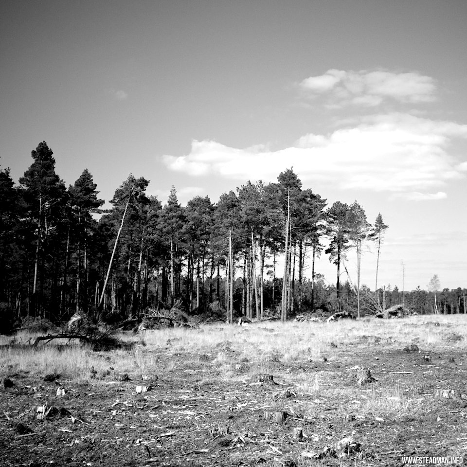 RAF Beaulieu And New Forest