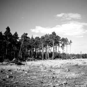 RAF Beaulieu And New Forest
