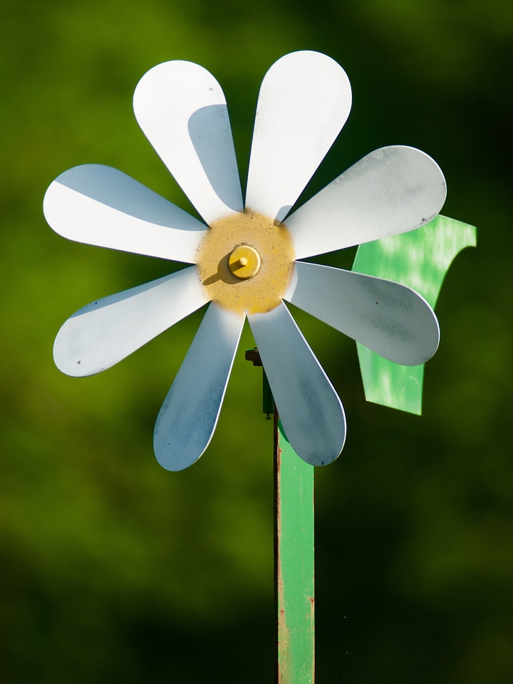 Wheel pinwheel wind wise