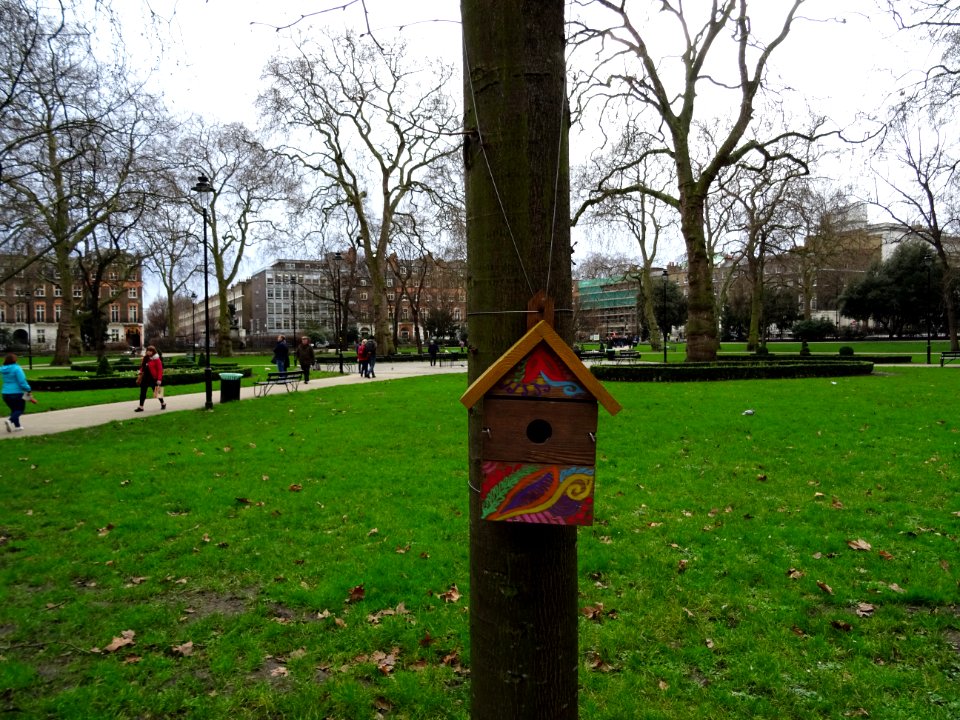 PUT A LITTLE BIRDHOUSE IN YOUR SOUL