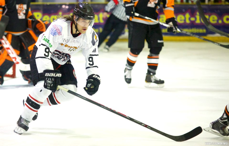 Ice Hockey - Basingstoke Bison Vs Telford Tigers