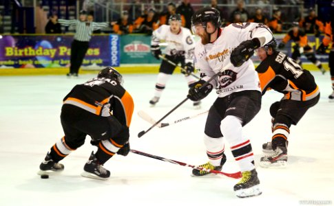 Ice Hockey - Basingstoke Bison Vs Telford Tigers