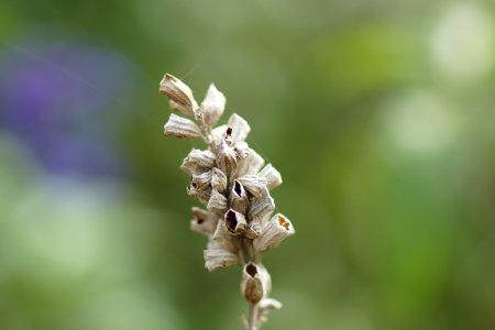 DSC00439