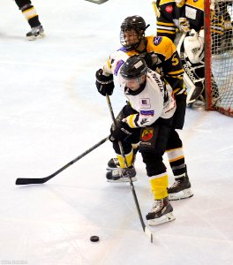 Ice Hockey - Bracknell Bees Vs Chelmsford Chieftains
