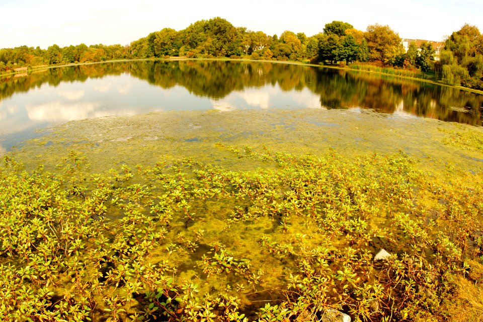 Southview  of Gunners Lake