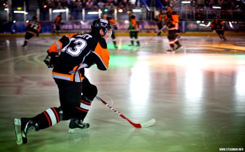 Ice Hockey - Basingstoke Bison Vs Telford Tigers
