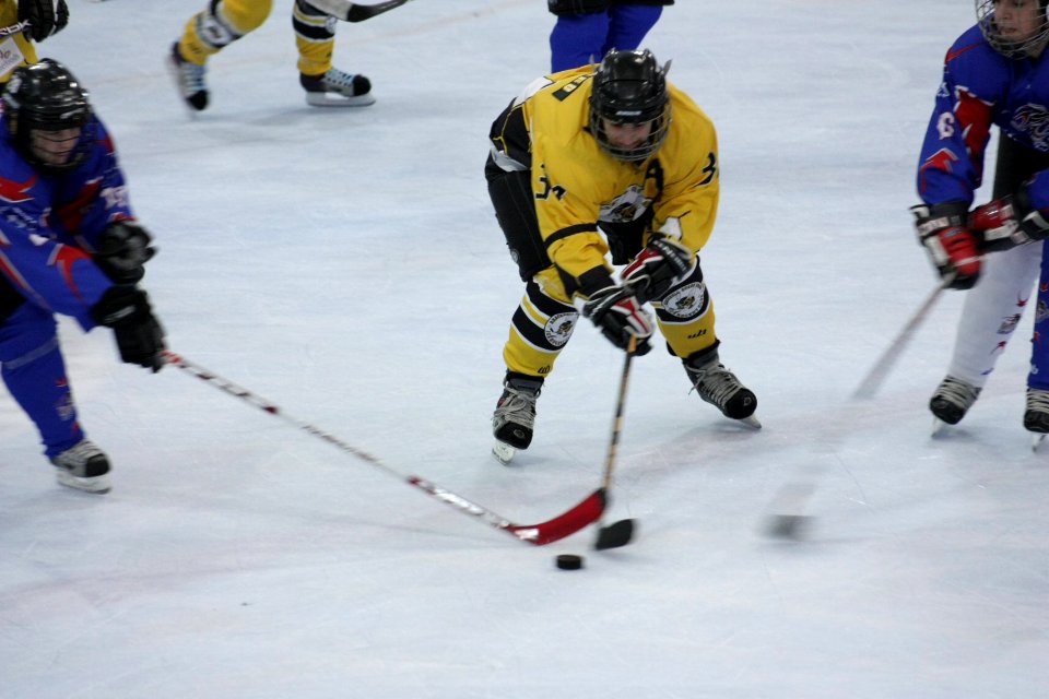 Bracknell Firebees Vs Invicta