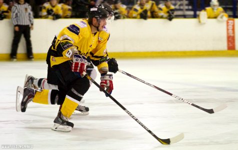 Basingstoke Bison Vs Bracknell Bees