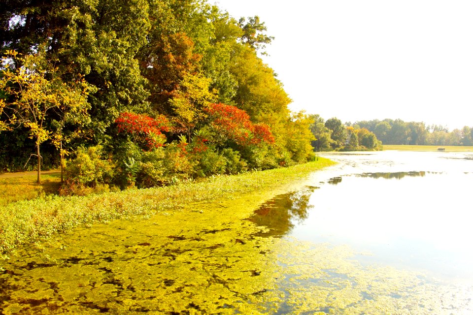 Gunners Lake - Germantown Maryland