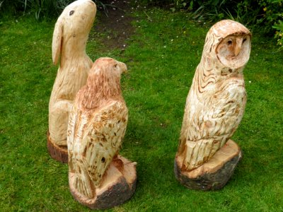 Chainsaw carving