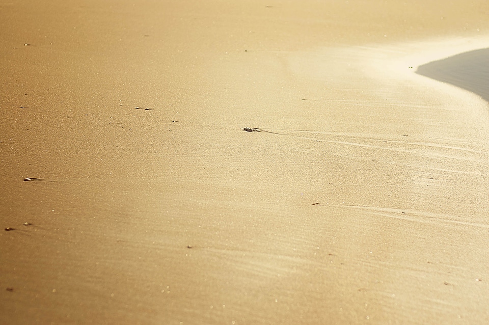 Sun sand dune water photo