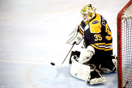Ice Hockey - Bracknell Bees Vs Chelmsford Chieftains