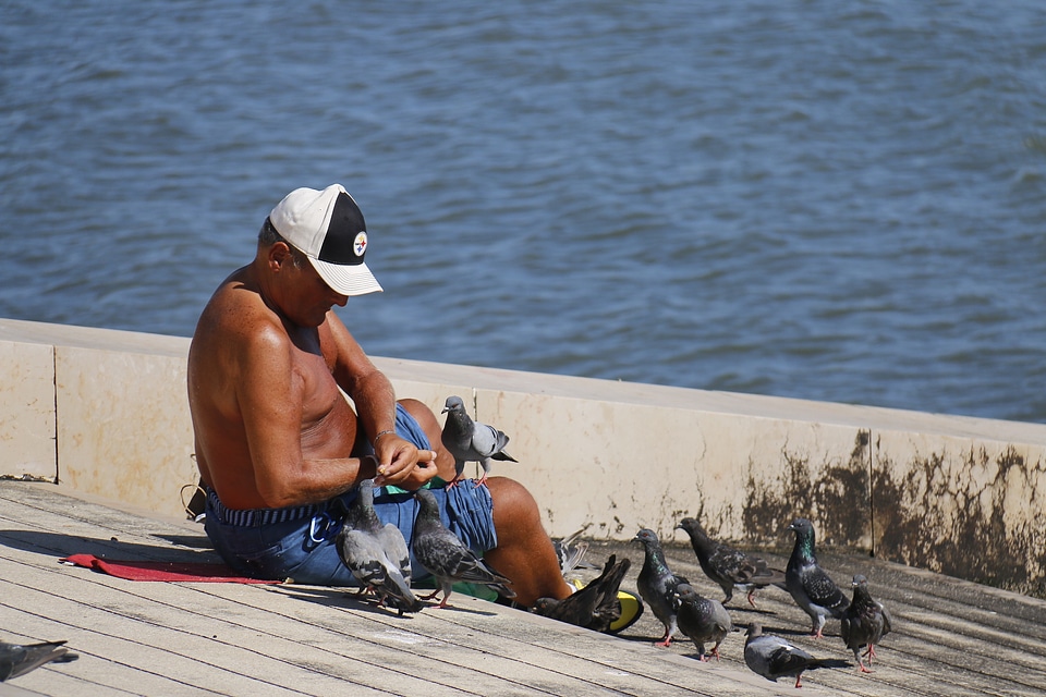 Friendship food feeding birds